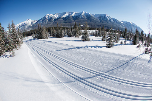 A look at a cross-country ski trail at the Canmore Nordic Centre Provincial Park in Alberta, Canada. The two tracks on the left are for the classic-style technique, and the track on the right is for the skate-ski technique.