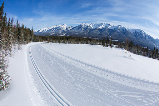 A look at a cross-country ski trail at the Canmore Nordic Centre Provincial Park in Alberta, Canada. The track on the left is for the classic-style technique, and the track on the right is for the skate-ski technique.
