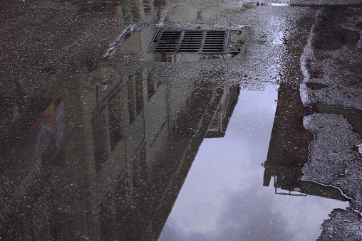 street reflections from a rain puddle