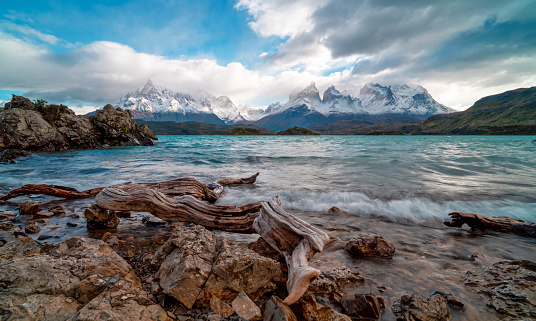 in the shore of lake Lago del Pehoe in the Torres del Paine national park, Patagonia, Chile.