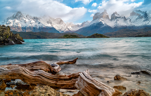 in the shore of lake Lago del Pehoe in the Torres del Paine national park, Patagonia, Chile.