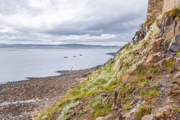 istock Stony beach below Lindisfarne Castle on Holy Island. 2061426393