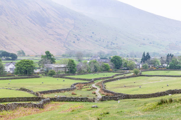 istock Stone walls in a valley in Lake District National Park. 2061428061