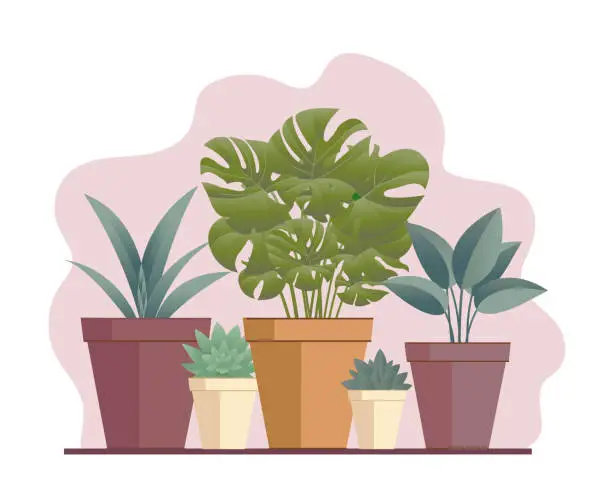Vector illustration of Flat Illustration House Flowers In Pot With Pink Background