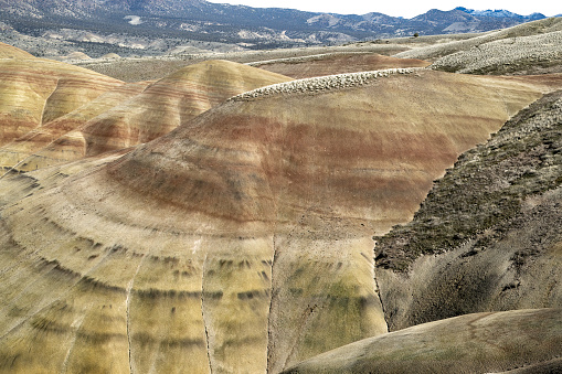 The Painted Hills are one of the three units that comprise the John Day Fossil Beds. Take time to also visit the Clarno Unit, with Mars-like pillars formed by waterfalls and volcanic sludge, and the Sheep Rock Unit, where fossils of plants and animals like saber-toothed cats are on display at the Thomas Condon Paleontology Center. The hills get their name from the delicately colored stratifications in the soil and the yellows, golds, blacks and reds of the Painted Hills are best seen in the late afternoon. Tones and hue may appear to change from one visit to another, as the claystone differ with ever-changing light and moisture levels. Once you see them for yourself, it’s pretty easy to understand why the Painted Hills are one of the 7 Wonders of Oregon.