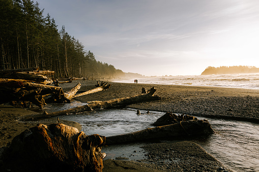 Rialto Beach is a beautifully mystic stretch of sand along the Pacific Ocean. It’s about a 4 hour drive south/east from Seattle, Wa. to get to it. My wife and I made that trip in 2020 while visiting family and friends. Every time I look at this photo it reminds me of how much I miss that part of the country.