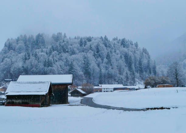 Rural Winter Landscapes Alps