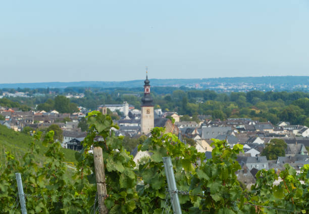 istock View to Ruedesheim on the rhine in Germany 2061524462