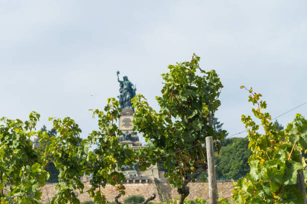 istock Niederwald Monument behind Vines Ruedesheim Germany 2061525006