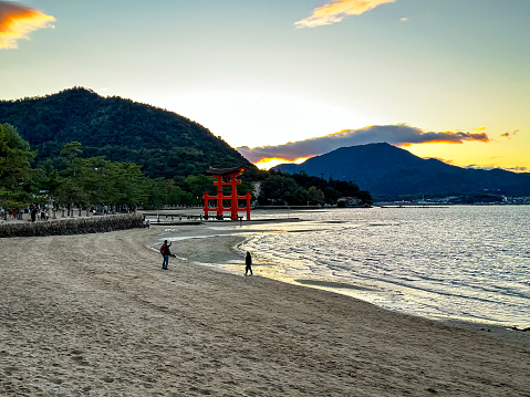 Miyajima, Itsukushima island, Japan - 13.11.2023. Evening at Miyajima bay. Sunset in Japan. Miyajima island bay beach at low tide on evening. Itsukushima Shrine, Hiroshima City. Hiroshima Prefecture, Japan. People are walking along the sea. Floating torii.