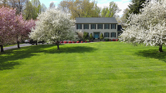 A small suburban house with a green lawn is nestled among spring trees in sunny day