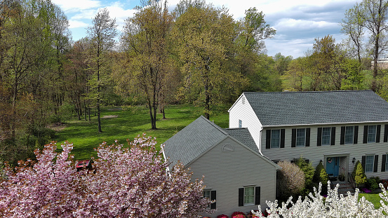Blooming trees in colorful forest, covering small house view in New Jersey in sunny day