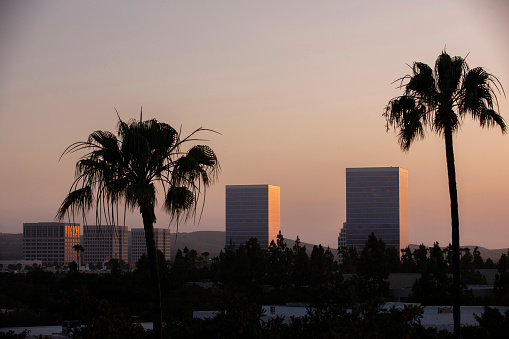 Sunset silhouetted palm trees and downtown skyline of Irvine, California, USA.