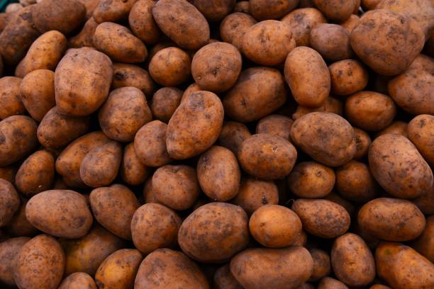 potatoes in the supermarket - close-up