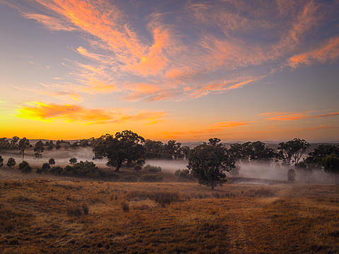 Early morning views over farmland in summer on a foggy morning in Central Victoria