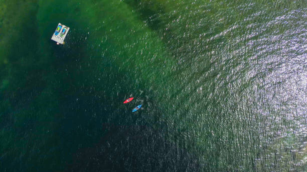 istock Aerial view of couple paddle boarding on ocean 2061775920