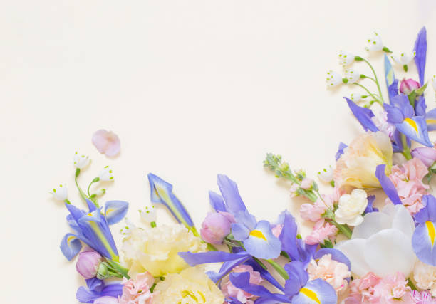 istock beautiful spring flowers on pastel background 2061780729
