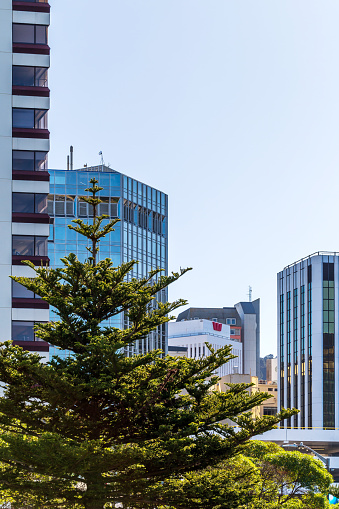 Wellington, New Zealand - September 02, 2023: Wellington's Urban Landscape Defined by its Architectural Diversity and Majestic Skyline