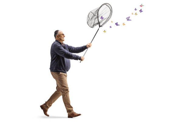 istock Mature man catching butterflies with a net 2061900012