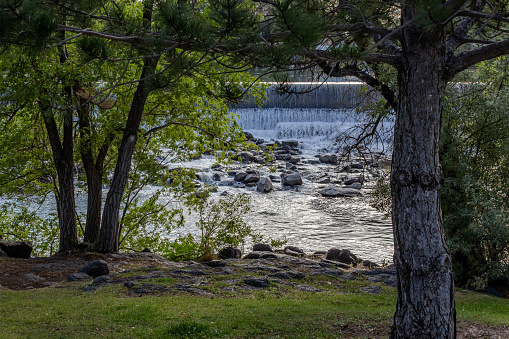 Photo of the Snake River on the North Idaho Falls Greenbelt.  Showing the Diversion Dam  between trees