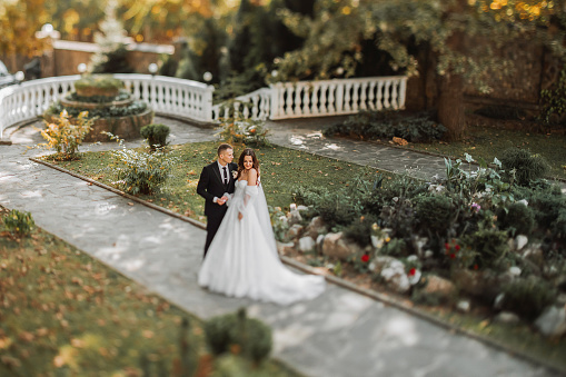 young beautiful wedding couple hugging in the garden, the photo is taken from above, taken with the lens of the TS-E system