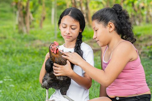 two Latina farm girls, holding a black hen while caressing it and looking at it