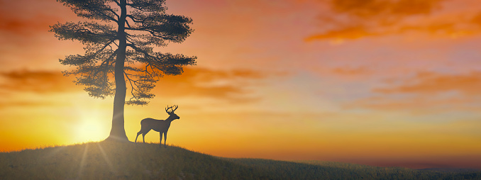 A solitary deer stands beneath a sprawling tree, silhouetted against the vibrant hues of a sunset sky, evoking a peaceful end to the day.