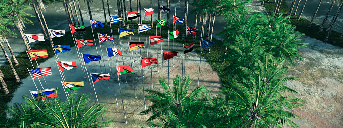 A vibrant array of various national flags set against the backdrop of a dense palm grove under clear skies.