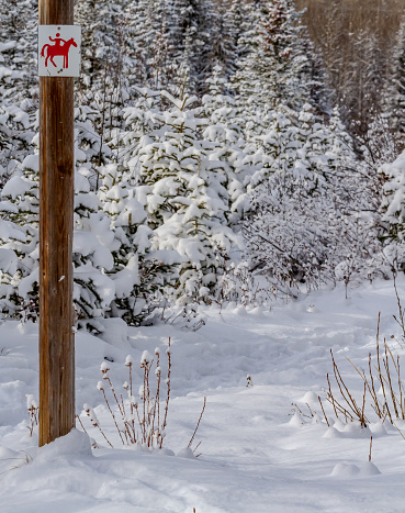 A rural treed area, covered in snow with a red and white sign showing a person riding a horse on a wooden post.