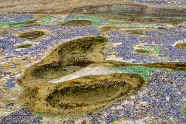 The Clear Water of a Seaside Beach Rock Pool.