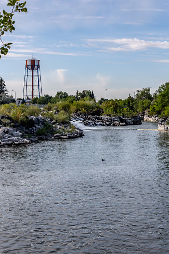 The elevated, red, white and blue Idaho Falls Power Water Tower along side the banks of the Snake River.  
Built in 1937 it is a Horton Tank style.  Its bowl is 51 feet in diameter, holds 500,000 gallons of water. The tower is 185 feet tall. Photo taken from the North Idaho Falls Greenbelt.  There is one bird on the river.