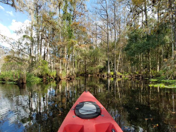 istock Red kayak on Fisheating Creek, Florida. 2061982014
