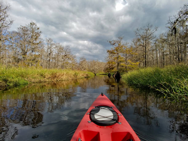 istock Red kayak on Fisheating Creek, Florida. 2061984671