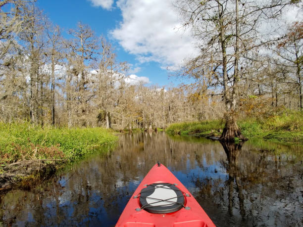Red kayak navigating the calm water of Fisheating Creek, Florida, on sunny day in late autumn.