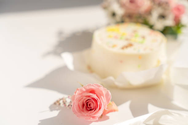Blooming rose in front of a white round cake on a white background.