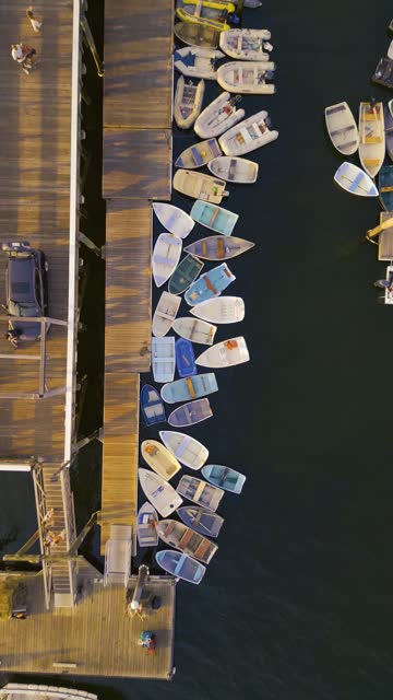 Aerial Drone Views of Row Boats Gliding Through Tranquil Waters