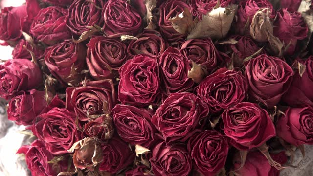 Dried roses, Valentine day concept.