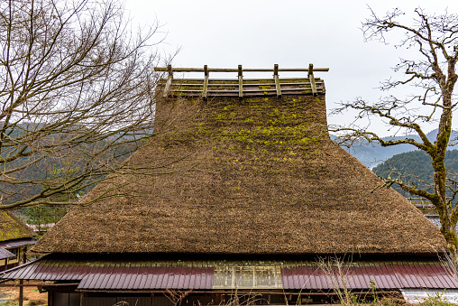 Traditional thatched roof houses of Miyama village in Kyoto Prefecture in Japan, made using kayabuki grass roofing technique, a UNESCO Intangible Cultural Heritage on 17 February 2024