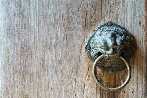 Vintage Lion Door Knocker and Handle on Old Wooden Door