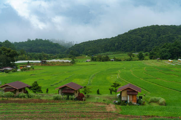 Mountain village nestled in serene landscape under a vast sky, surrounded by lush fields and forests, epitomizing rural Thailand charm