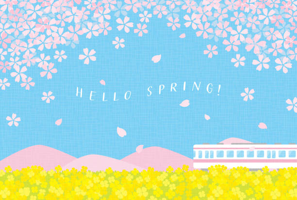 バナー、カード、チラシ、ソーシャル メディアの壁紙などのための桜と菜の花と電車と春のベクトルの背景 ベクターアートイラスト