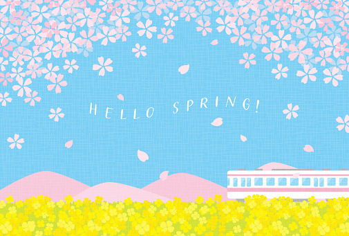 spring vector background with a train with cherry blossoms and canola flowers for banners, cards, flyers, social media wallpapers, etc.