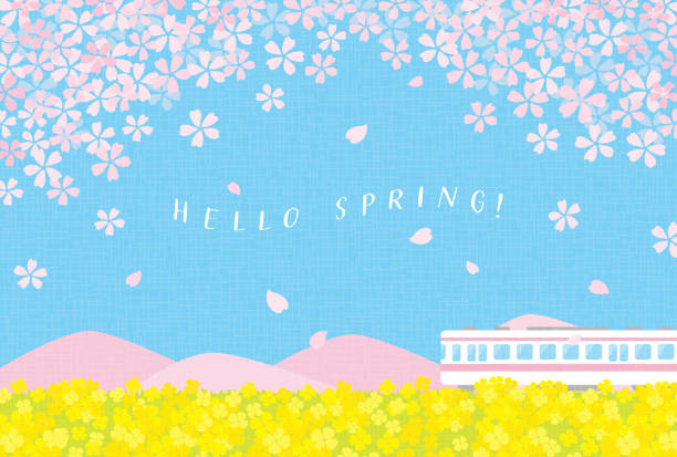 spring vector background with a train with cherry blossoms and canola flowers for banners, cards, flyers, social media wallpapers, etc. spring vector background with a train with cherry blossoms and canola flowers for banners, cards, flyers, social media wallpapers, etc. spring flower mountain landscape stock illustrations