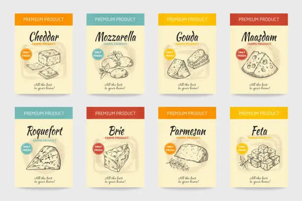 Vector illustration of Cheese posters. Gourmet food vintage sketch. Organic cheesy snacks menu design. Premium farm dairy package label template. Natural edam and cheddar slices. Vector milk product stickers set