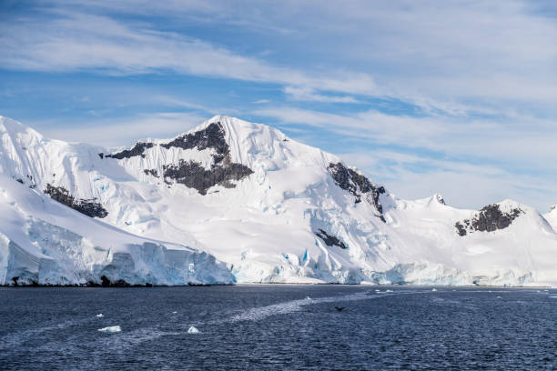 istock Antarctic landscape with diving humpback whales 2062319320