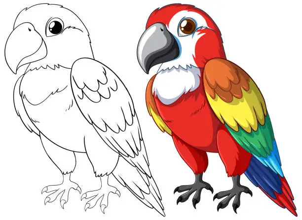 Vector illustration of Illustration of a vibrant parrot beside its sketch.