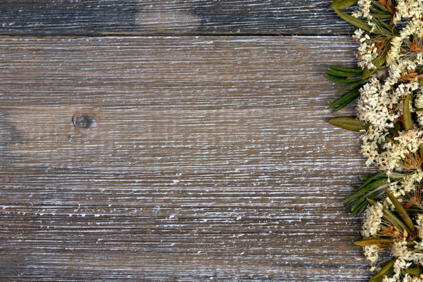 Edge border Labrador tea texture background. Dry flowers and leaves on the brown wooden table.