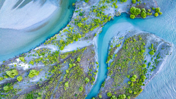 the aerial view with a ecosystem of the river lagoon valley and blue water river - forest pond landscaped water fotografías e imágenes de stock