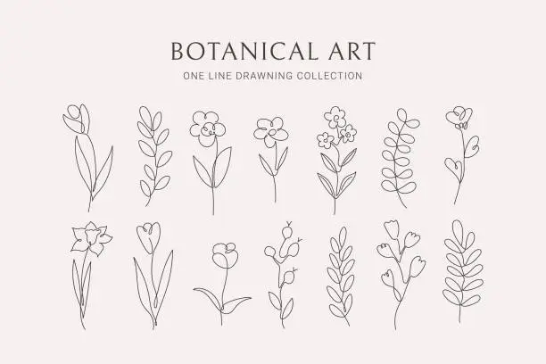 Vector illustration of Set botanical hand drawn elements. Abstract floral collection, flowers, branches in line art. Minimal style. Vector illustration for logo, wedding, invitation, decor.