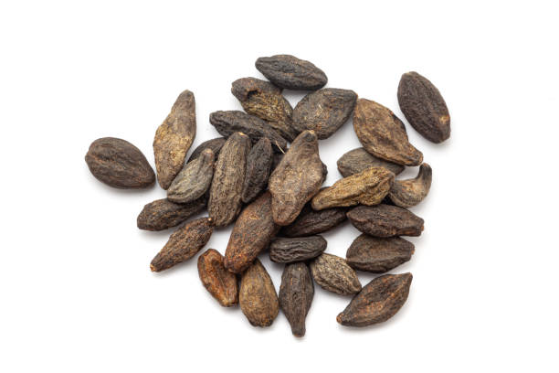 istock Dry Organic Myrobalan or Harad (Terminalia chebula), isolated on a white background. Top view 2062418809
